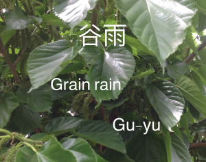Grain rain