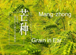 mang zhong